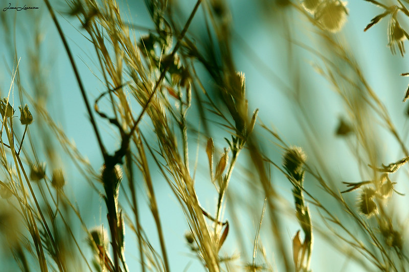 portfolio-foto